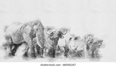 Big african five animal. Black and white sketch with pencil