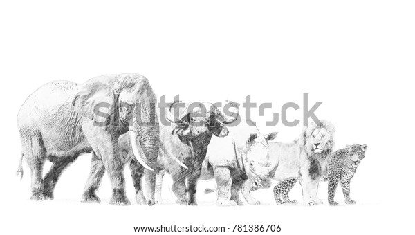 Big african five animal. Black and white sketch
with pencil