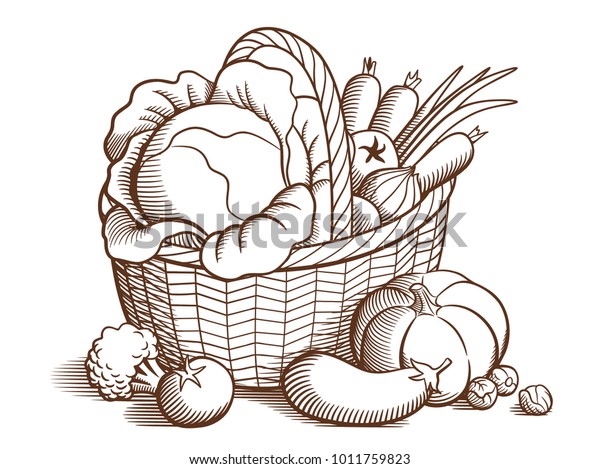 Big Basket Fresh Ripe Vegetables Cabbage Stock Illustration 1011759823