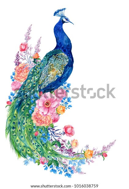 大きな鳥と孔雀の花 水彩手描き のイラスト素材 1016038759