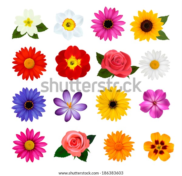 色とりどりの花の大きなコレクション ラスター版 のイラスト素材