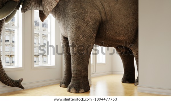 Big elephant in the small room as a funny\
space problem concept (3d\
rendering)