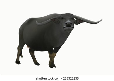 Big Buffalo Background Stock Illustration 285328235