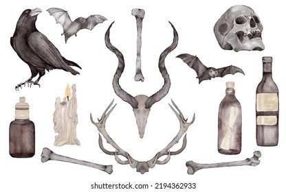 Big Halloween set: skull  candles  bat