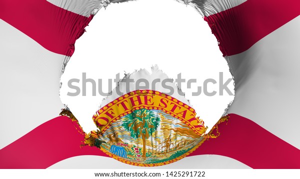 Big hole in Florida state flag, white\
background, 3d\
rendering