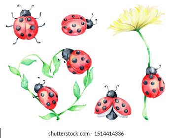 Featured image of post View 24 How To Draw A Ladybug On A Leaf