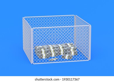 Big Pile Of Money Behind The Fence. Business Concept. Protection Of Funds. Investment Security. Hidden Income. Seizure Of Financial Accounts. Unavailable Cash. 3d Rendering