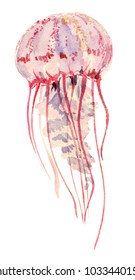 Big Poisonos Jellyfish Watercolor Illustration