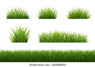 Big Set Grass Panorama With White Background - Shutterstock ID 2205898923