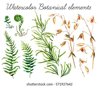 Big set of watercolor botanical elements. Beautiful botanical elements isolated on white background. Hand drawn herbs and flowers for your design. 