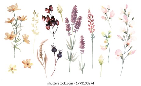 Big set of watercolor green leaves, herbs, branches, wildflowers and berries. Botanical clipart. Collection garden and wild, forest herb, flowers, branches.
Illustration isolated on white background.
