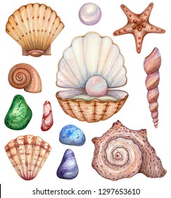 Seashells Collection Stock Vector (Royalty Free) 83065291