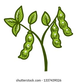 Big Soybean Plant Icon. Hand Drawn Illustration Of Big Soybean Plant Icon For Web Design