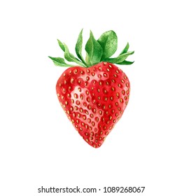 Big Strawberry, Watercolor Botanical Illustration