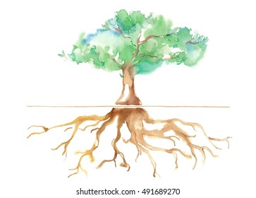 Big Tree And Root