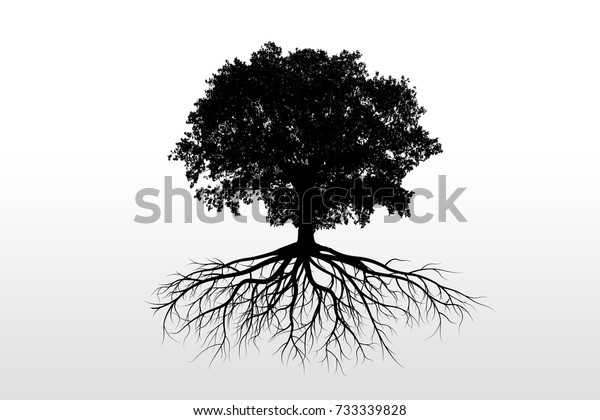 白い背景に大きな木のシルエットと根 のイラスト素材