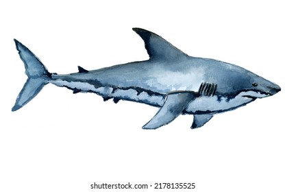 Big White Shark Whatercolor Painting