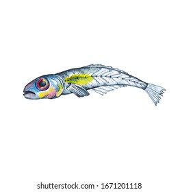 Big-eyed Marine Transparent Fish Fry In Blue And Yellow Colours. Illustration In Close To Actual Image. Watercolor Hand Painted Isolated Elements On White Background.