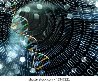 Binary Tunnel And DNA Strand