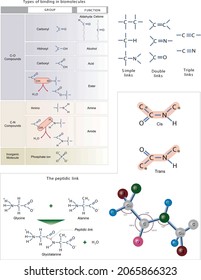 Biochemistry. THE Peptide Bond. Types Of Bonds In Biomolecules.