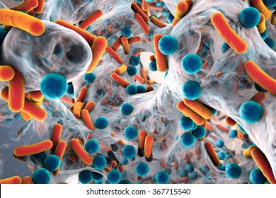 Biofilm of antibiotic resistant bacteria, closeup view. Rod-shaped and spherical bacteria. Escherichia coli, Pseudomonas aeruginosa, Mycobacterium tuberculosis, Klebsiella, Staphylococcus aureus, MRSA