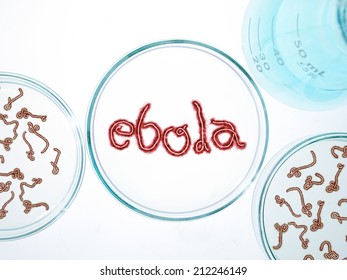 Biological sample testing of Ebola Virus