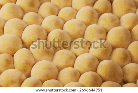 Biomedical microscopic fat cells structure, 3d rendering. 3D illustration.