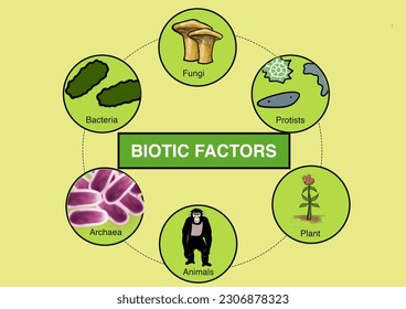 Biotic factors, science, elements, earth, environment