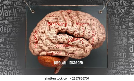 Bipolar Ii Disorder Anatomy Causes Effects Stock Illustration 2137986707