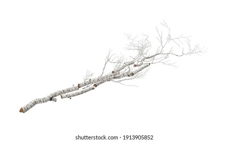 白樺 丸太 のイラスト素材 画像 ベクター画像 Shutterstock