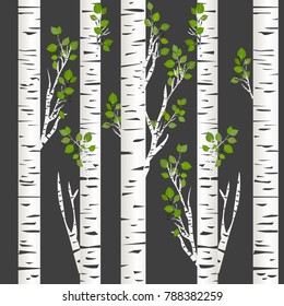 Birch trunks in night