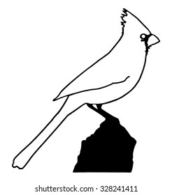 bird