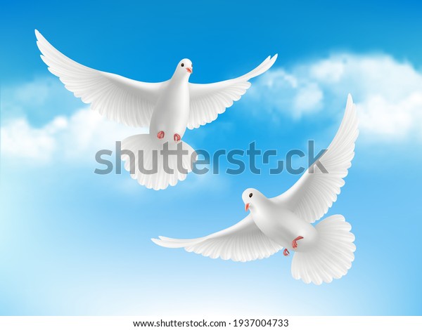 Bird in clouds.\
Flying white pigeons in blue sky peaceful religion concept with\
realistic birds\
background