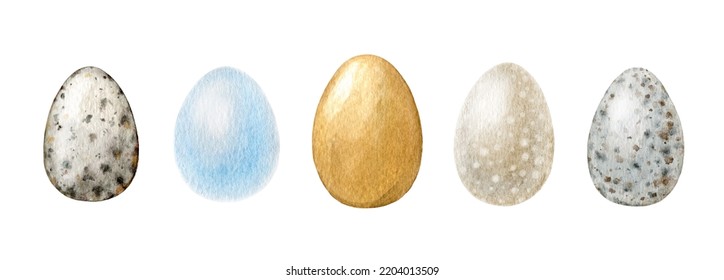 Bird Egg Watercolor Illustration Set. Hand Drawn Various Egg Collection. Plain And Spotted Bird Eggs Element. Isolated On White Background