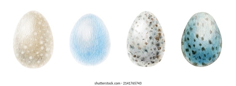 Bird Eggs Watercolor Illustration Set. Hand Drawn Realistic Natural Various Birds Egg Collection. Bird Spotted Eggs On White Background.