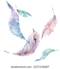 Bird feather  