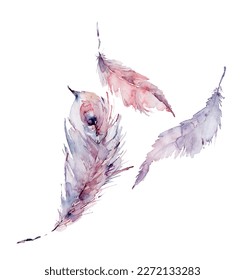 Bird feather  