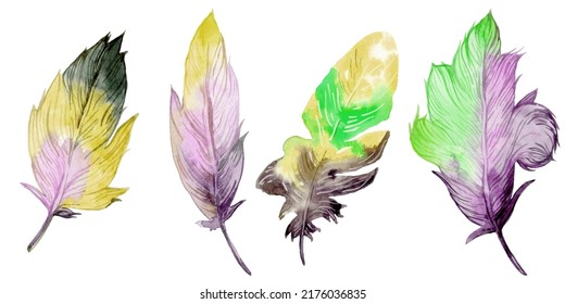 Bird Feathers Watercolor Illustration - Boho Style Elements. Isolated On The White Background.