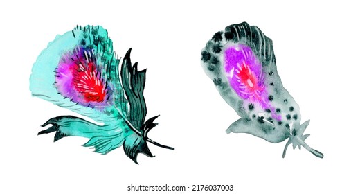 Bird Feathers Watercolor Illustration - Boho Style Elements. Isolated On The White Background.