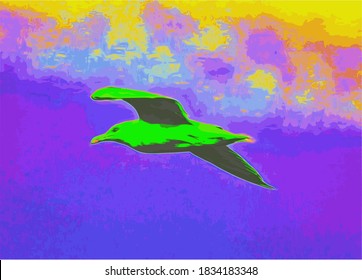 Bird in flight in the evening sky