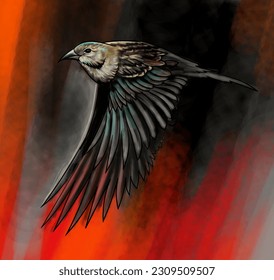 A Bird Flying and