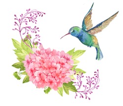 Oiseau Colibri Et Fleur Rose.aquarelle