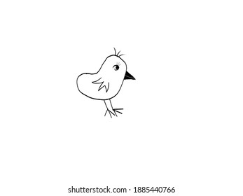 Bird Illustration, Drawn On A Graphic Tablet