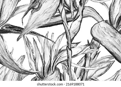 Bird of Paradise Seamless Pattern for Swimwear. Black and White Strelitzia Feminine Exotic Design.  Tropical Leaf Background. Large Polynesia Floral Print. Bird-of-Paradise Spring-Summer Tile