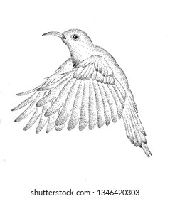 Bird Pointilism Drawing