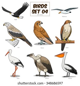 Bird set cartoon colorful raster illustration. Educational material
