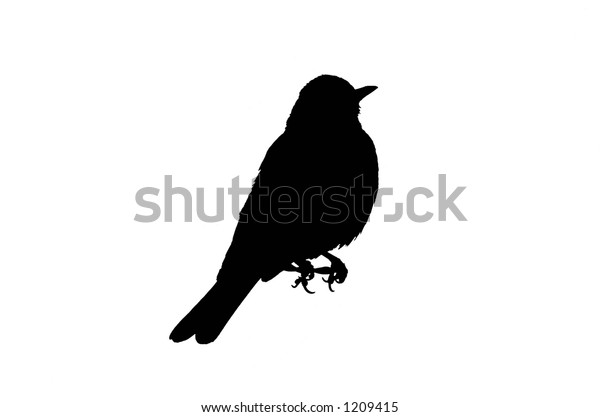 Bird Silhouette Robin Stock Illustration 1209415