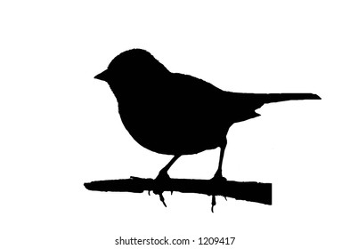 Bird Silhouette: Sparrow