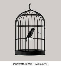 Bird Sitting Inside A Cage. Vintage Engraving Stylized Drawing