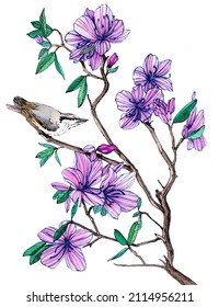 A Bird Sitting On A Branch Of A Flowering Rhododendron. Watercolor Illustration